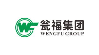 Grupo Wengfu